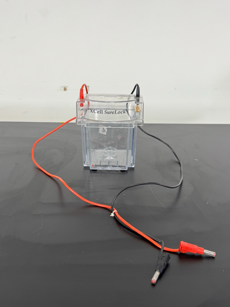 Image of Invitrogen XCell SureLock Electrophoresis Mini Cell